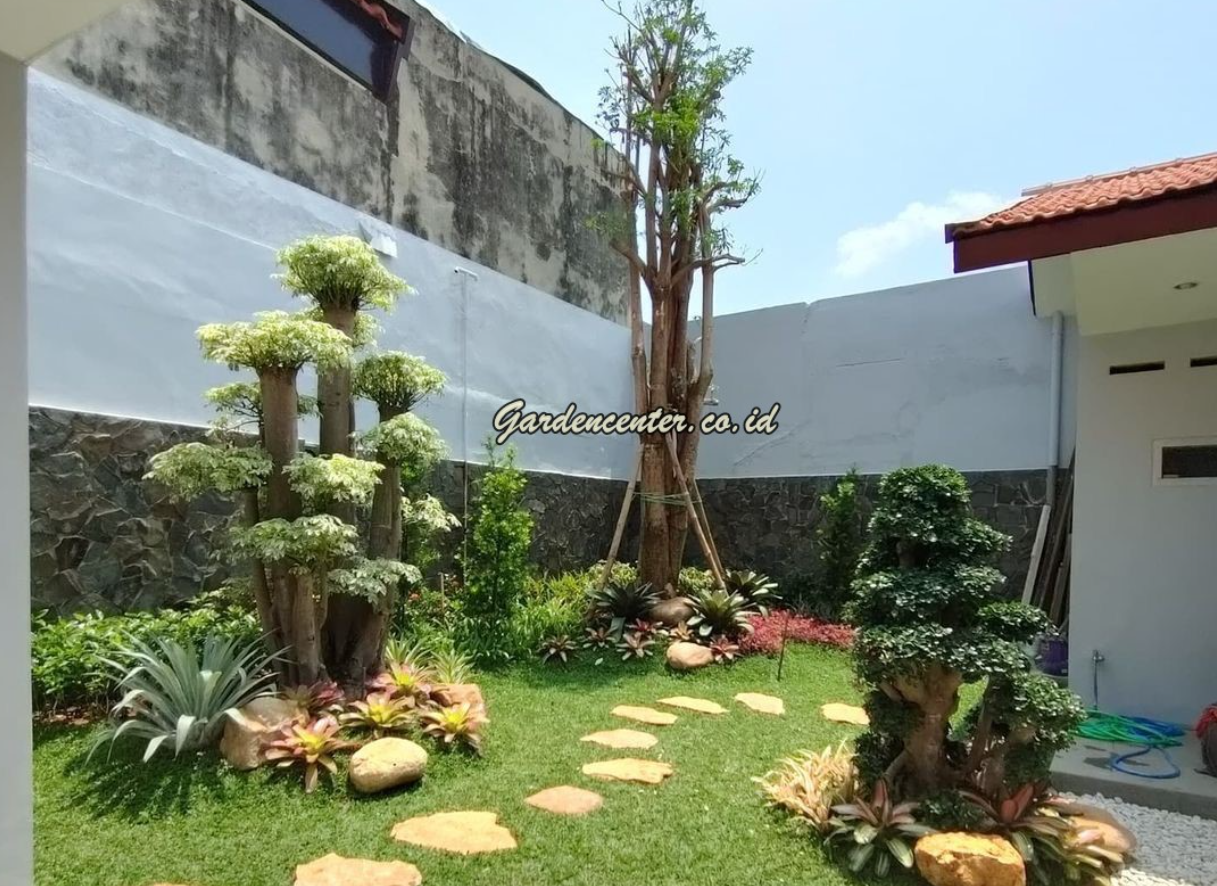 Kombinasi Tanaman dan Elemen Batu yang Cocok untuk Taman Tropis